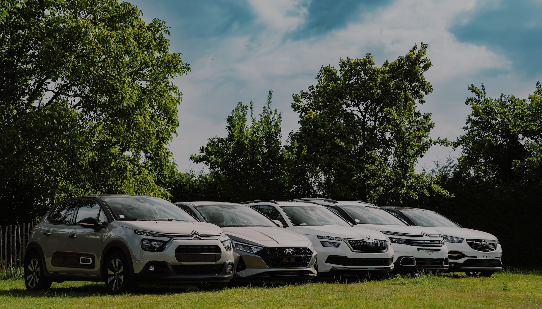 Header header_images_2_1754394506782420069.jpg Home | Dealer Car Trade B.V.